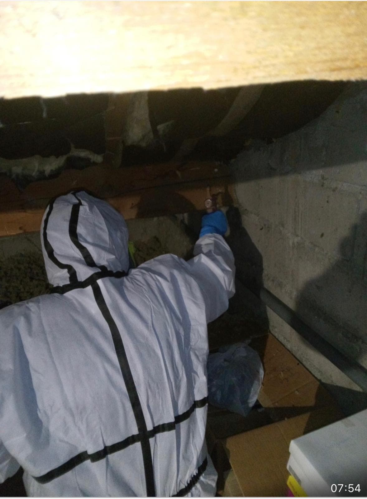 Traitement charpente Calvisson - Traitement_charpente_xylophages_gard