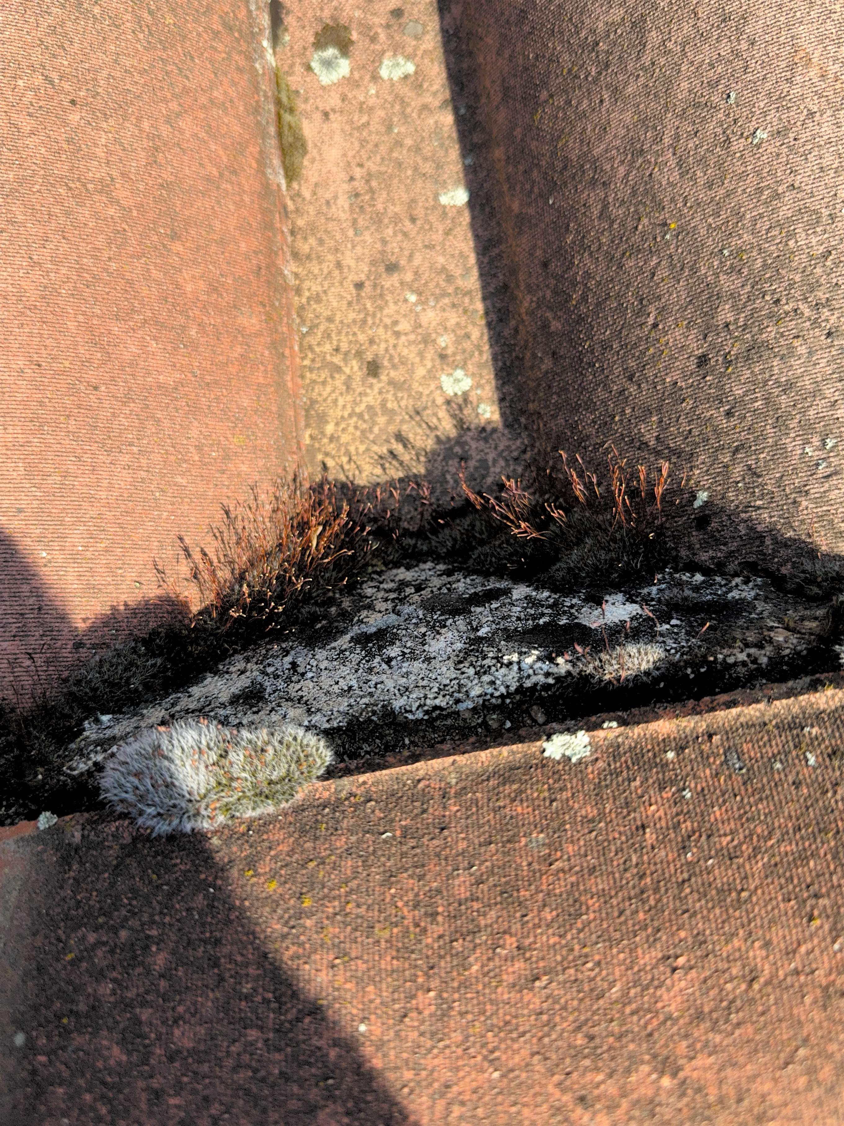 Traitement Hydrofuge Incolore