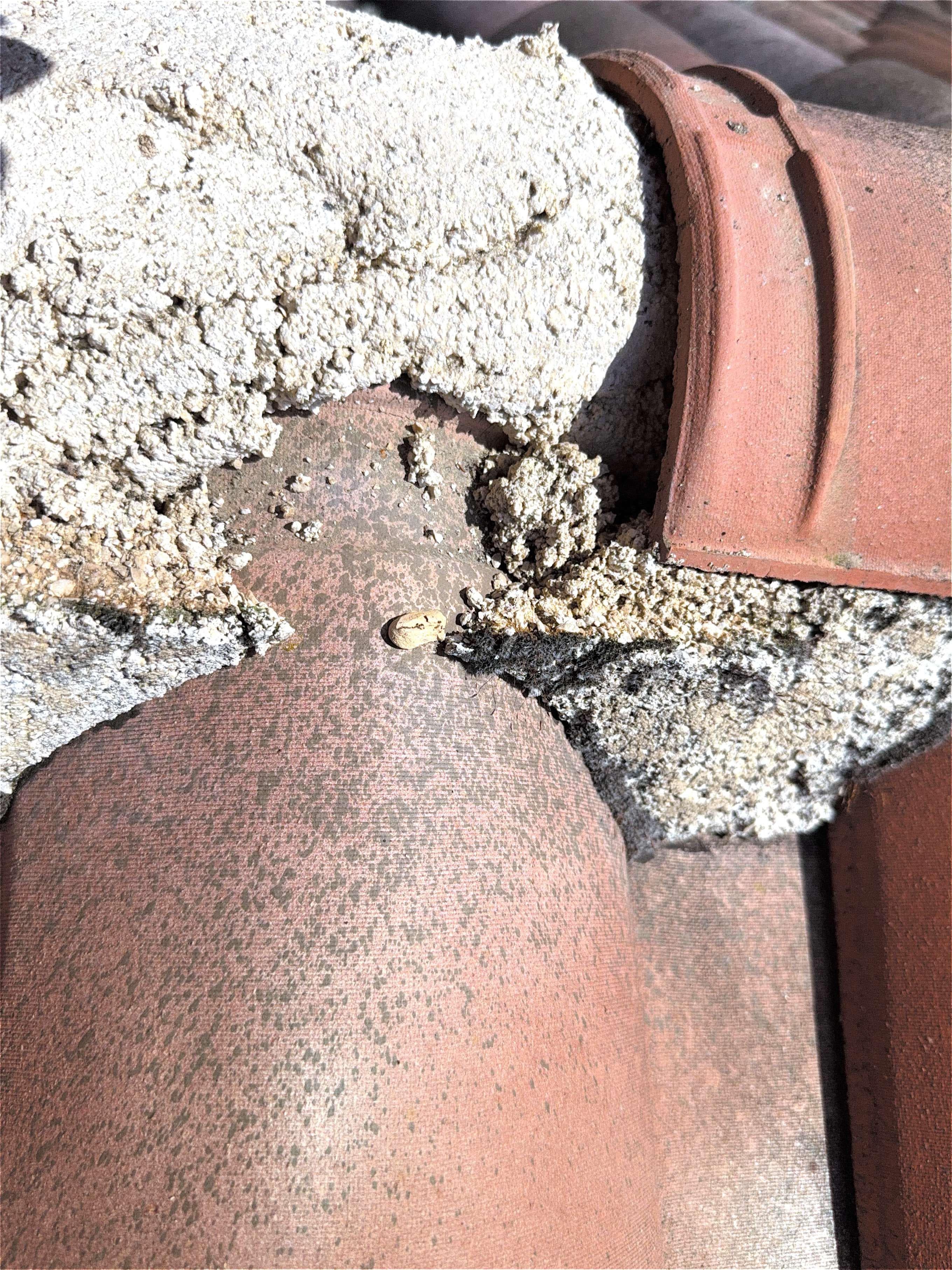 Traitement Hydrofuge Incolore